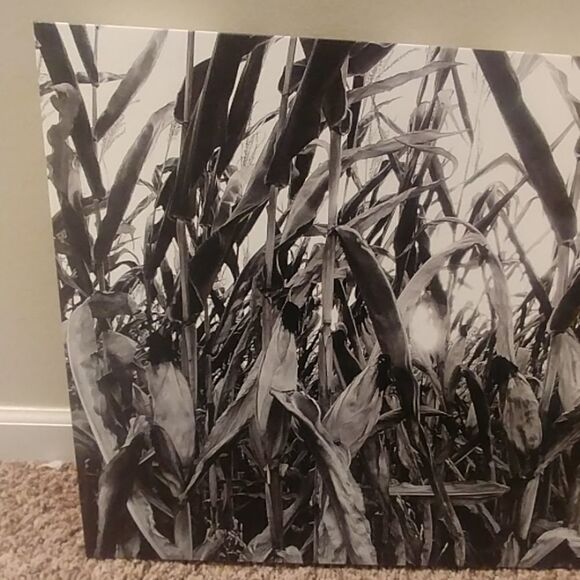 Kansas cornfield sunset canvas wall hanging - Picture 3 of 5